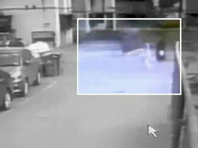 आवारा कुत्तों के हमले में घायल हुईं अभिनेत्री, CCTV में कैद हुई घटना