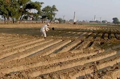 प्राइम टाइम इंट्रो : किसानों के लिए आम बजट में क्या है ख़ास? प्राइम टाइम इंट्रो : किसानों के लिए आम बजट में क्या है ख़ास?