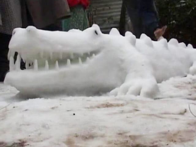 Video : Auto-Rickshaw, Crocodile: How Kashmiri Kids Are Breathing Life Into Snow