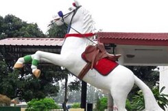 Uttarakhand Elections 2017: The Ghost Of Shaktiman Still Haunts Political Parties Uttarakhand Elections 2017: The Ghost Of Shaktiman Still Haunts Political Parties