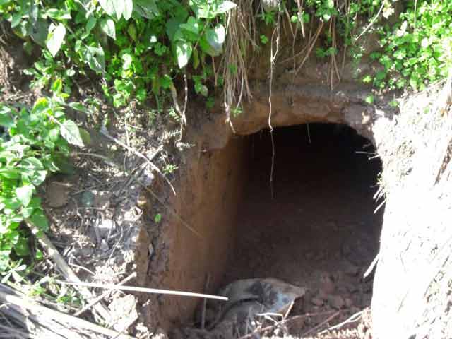 जम्मू-कश्मीर में अंतरराष्ट्रीय सीमा पर BSF को गश्त के दौरान मिली सुरंग