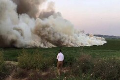 Lake On Fire, Toxic Smoke Leaves Bengaluru Angry And Stunned Lake On Fire, Toxic Smoke Leaves Bengaluru Angry And Stunned