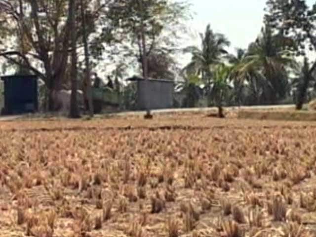 Video : As Karnataka Heads For Another Drought, Farmer Family Struggles To Repay Loan