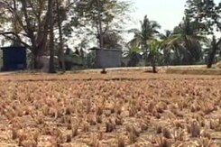As Karnataka Heads For Another Drought, Farmer Family Struggles To Repay Loan As Karnataka Heads For Another Drought, Farmer Family Struggles To Repay Loan