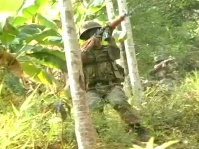 Video : Jungle Warfare: The Hunt For Terrorists