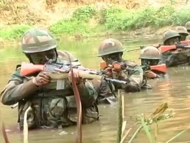 Video : Trained To Eat Snakes And Scorpions: Inside India's Jungle Warfare School