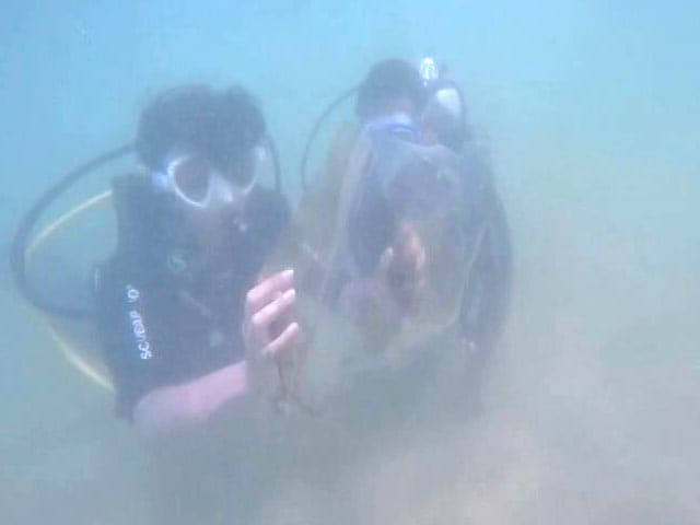 Video : Scuba Diving Off Kerala Coast To Spread The Swachh Message