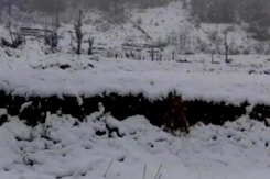 उत्तर भारत में ठंड लौटी, शिमला और कुफरी में बर्फ पड़ी उत्तर भारत में ठंड लौटी, शिमला और कुफरी में बर्फ पड़ी