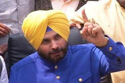Why Arvind Kejriwal Lost, According To Navjot Singh Sidhu, Celebrating Victory Why Arvind Kejriwal Lost, According To Navjot Singh Sidhu, Celebrating Victory