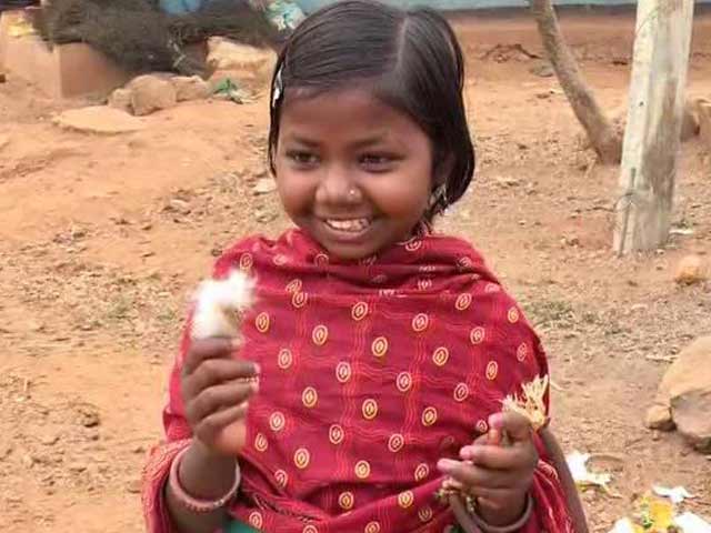 No Mid-Day Meal, Jharkhand 9-Year-Old Hunts Rats, Squirrels For Lunch