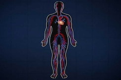 डॉक्टर्स ऑन कॉल : दिल का दौरा पड़ने पर समय रहते कदम उठाइए डॉक्टर्स ऑन कॉल : दिल का दौरा पड़ने पर समय रहते कदम उठाइए