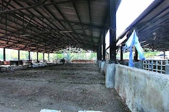 यूपी में अवैध बूचड़खानों पर सख़्ती का असर दिल्ली तक यूपी में अवैध बूचड़खानों पर सख़्ती का असर दिल्ली तक