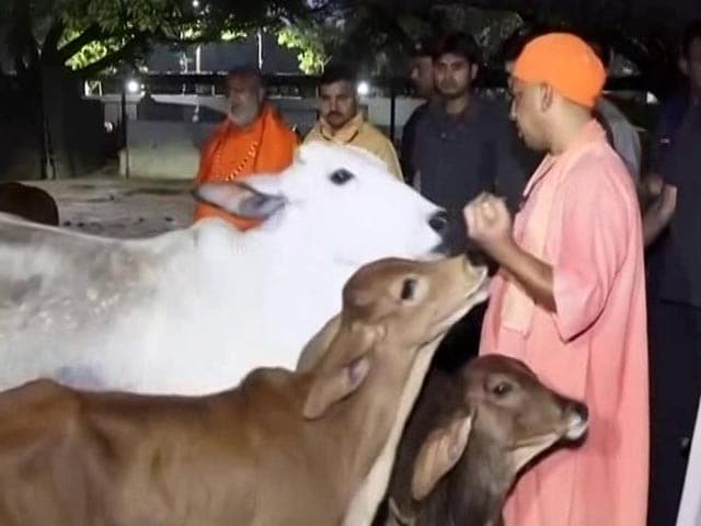 Video : Yogi Adityanath Reminds People Of 'Certain Responsibilities' In Gorakhpur