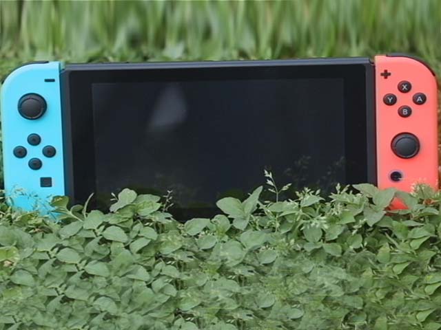 Game on the Go With the Nintendo Switch