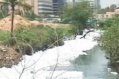 Why Do Bengaluru's Foamy Lakes Need Foreign Help, Ask City Experts Why Do Bengaluru's Foamy Lakes Need Foreign Help, Ask City Experts