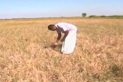 Madras High Court Directs Waiver Of Loan For All Farmers From Cooperative Banks Madras High Court Directs Waiver Of Loan For All Farmers From Cooperative Banks