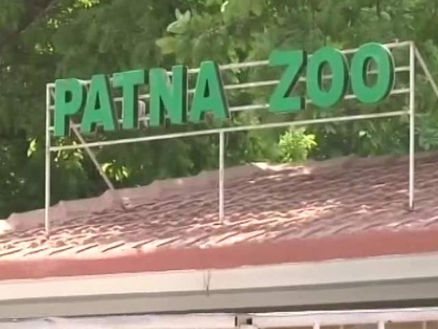 Why Did Patna Zoo Buy Soil For 44 Lakhs? BJP Says Lalu's Son Must Explain