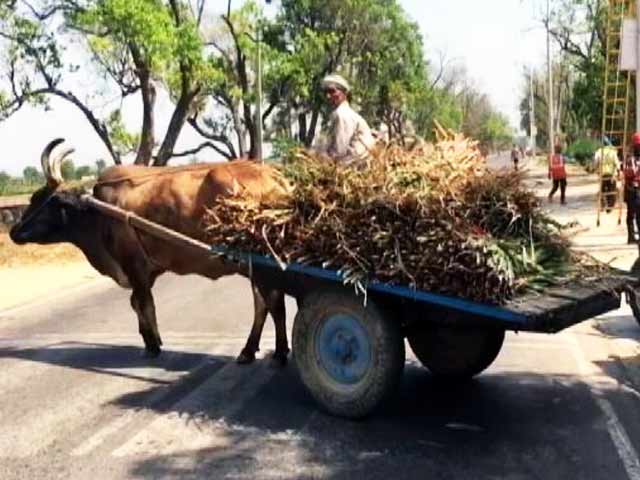 योगी सरकार की कर्ज़ माफ़ी से राहत में किसान