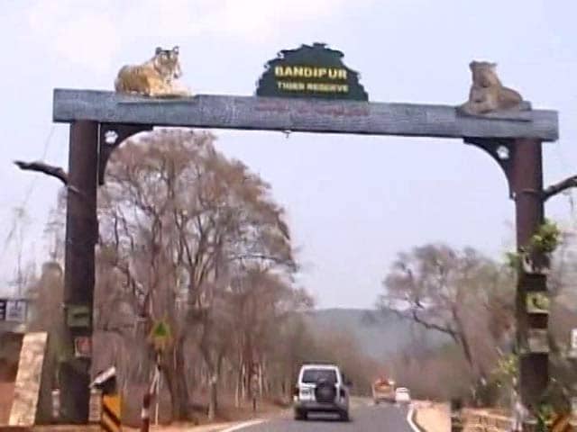Video : Drought In Tiger Reserve: How Bandipur In Karnataka Is Coping