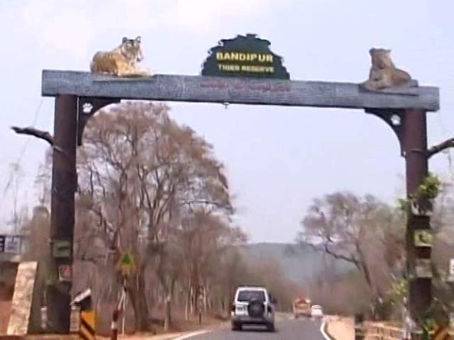 Drought In Tiger Reserve: How Bandipur In Karnataka Is Coping