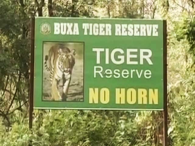 Video : 6 Tigers From Assam To Be Introduced In West Bengal's Buxa Reserve