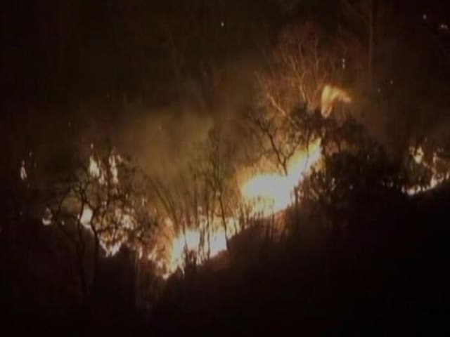 Video : माउंट आबू के जंगलों में भीषण आग, अब तक नहीं पाया जा सका काबू
