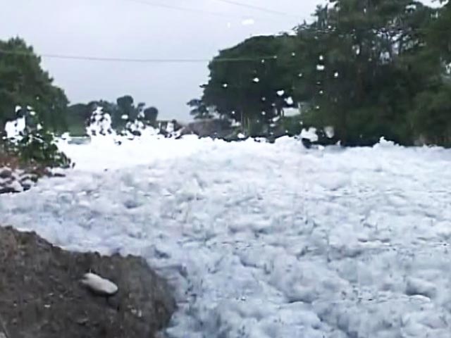 White Alert At Bengaluru Lake Again, Froth Flies After Rains In Bellandur