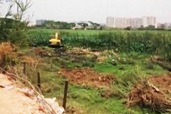 Bengaluru's Bellandur Lake, Which Burst Into Flames, Finally Being Cleaned Bengaluru's Bellandur Lake, Which Burst Into Flames, Finally Being Cleaned