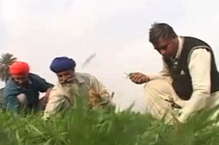 Why Not Tax Rich Farmers, Asks Chief Economic Adviser Arvind Subramanian Why Not Tax Rich Farmers, Asks Chief Economic Adviser Arvind Subramanian