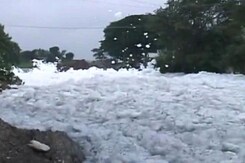 Politicians, Locals Visit Bengaluru Lakes, Take Stock Of Clean-Up Process Politicians, Locals Visit Bengaluru Lakes, Take Stock Of Clean-Up Process