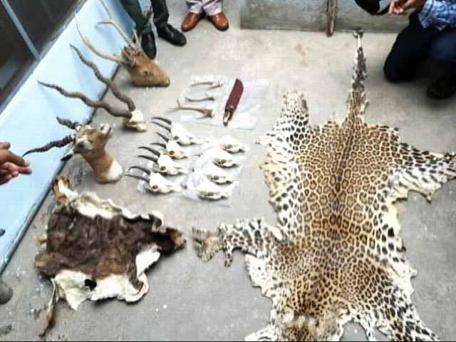 नेशनल शूटर पर कसा शिकंजा, जंगली जानवर और हथियारों की तस्करी का आरोप