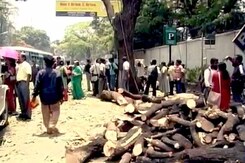 बेंगलुरु : सड़क भी चौड़ी होगी, पेड़ भी नहीं कटेंगे... बेंगलुरु : सड़क भी चौड़ी होगी, पेड़ भी नहीं कटेंगे...