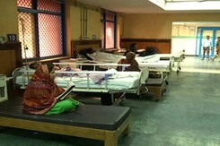 India Matters: Not A Cuckoo's Nest India Matters: Not A Cuckoo's Nest