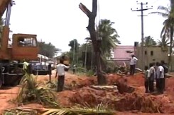 Trees Were Being Uprooted In Garden City. Bengaluru Turned To Crowd Funding Trees Were Being Uprooted In Garden City. Bengaluru Turned To Crowd Funding