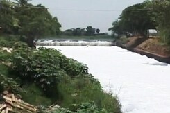 Siddaramaiah Visits Bellandur Lake, Says Can't Meet Clean-Up Deadline Siddaramaiah Visits Bellandur Lake, Says Can't Meet Clean-Up Deadline