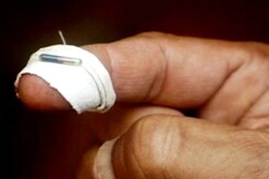 गुजरात में गायों का भी होगा आधार जैसा नंबर गुजरात में गायों का भी होगा आधार जैसा नंबर