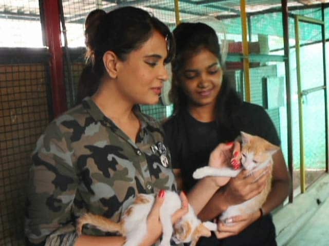 Video : Richa Chadha's Day Out With Animals