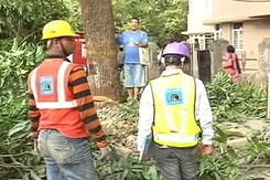 Tree Cutting For Metro Begins In Mumbai, Citizens Divided On The Environmental Cost Tree Cutting For Metro Begins In Mumbai, Citizens Divided On The Environmental Cost