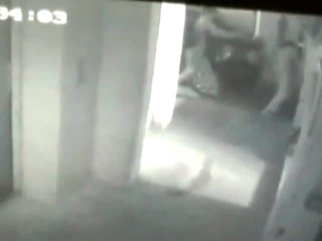 Video : Man On CCTV Chasing, Killing Noida Engineer Could Be Boyfriend, Say Cops