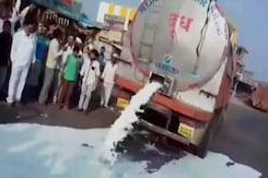 Milk Spilled, Veggies Dumped After Maharashtra Farmers Begin Indefinite Strike Milk Spilled, Veggies Dumped After Maharashtra Farmers Begin Indefinite Strike