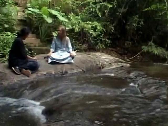 Sanctuary: A Home In The Kodagu Forests