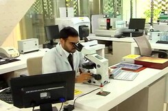 Zika Virus: What Are The Symptoms And How Can You Prevent It? Zika Virus: What Are The Symptoms And How Can You Prevent It?