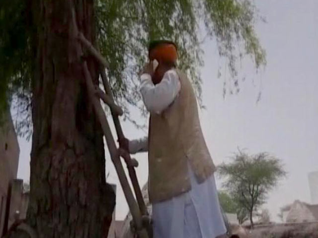 Minister Climbs Tree In Rajasthan. He Had To Make A Call