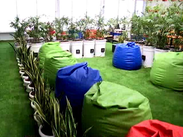 Delhi's Green Offices On World Environment Day