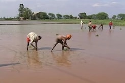 Good Evening इंडिया : कर्ज़माफी ही है आखिरी रास्ता? Good Evening इंडिया : कर्ज़माफी ही है आखिरी रास्ता?