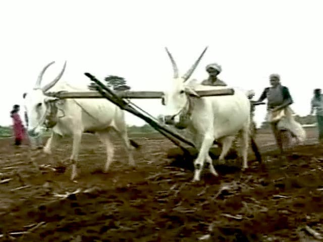 Videos : महाराष्ट्र: किसानों को तत्काल 10 हजार रुपये की मदद का ऐलान