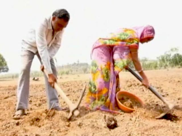 Videos : मध्य प्रदेश में किसानों के साथ धोखाधड़ी, फर्जी तरीके से कराई जमीन की रजिस्ट्री