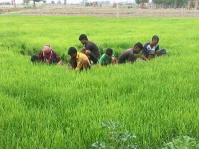 महाराष्ट्र में किसानों के 1.5 लाख रुपये तक के कर्ज हुए माफ