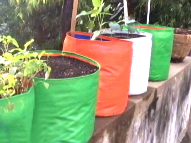 Citizens Voice: Chennai Citizens Take Up Farming