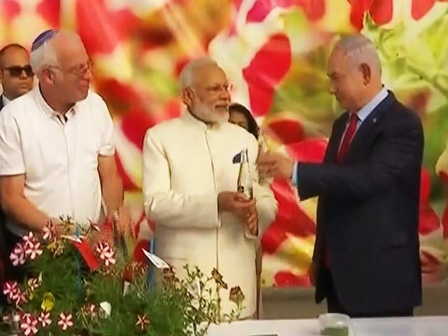 Shalom 'Namo'ste: PM Modi's Big Welcome In Israel
